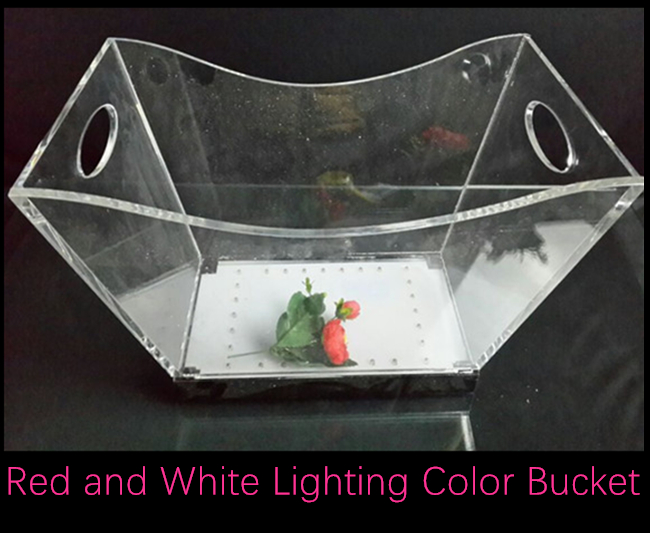 Aangepaste Acryl Transparante LEIDENE Ijsemmer met Kleurrijk Licht en Twee Handvatten